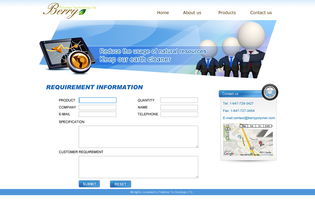 网页与网站设计 构建企业数字门户的艺术与科学